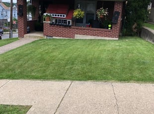 1 Penfield Ny Lawn Care Service Lawn Mowing From 19 Best 2020