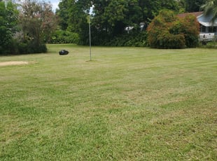 1 Petersburg Va Lawn Care Service Lawn Mowing From 19 Best 2020