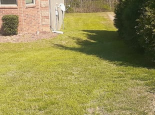 1 Philadelphia Pa Lawn Care Service Lawn Mowing From 19 Best 2020