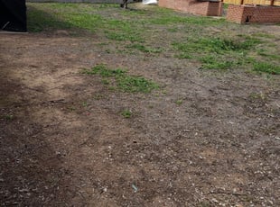 1 Phoenix Az Lawn Care Service Lawn Mowing From 19 Best 2020