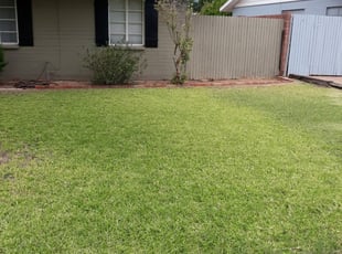 1 Phoenix Az Lawn Care Service Lawn Mowing From 19 Best 2020
