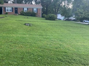 1 Phoenix Az Lawn Care Service Lawn Mowing From 19 Best 2020