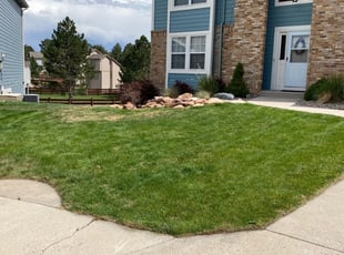 1 Pickerington Oh Lawn Care Service Lawn Mowing From 19 Best 2020