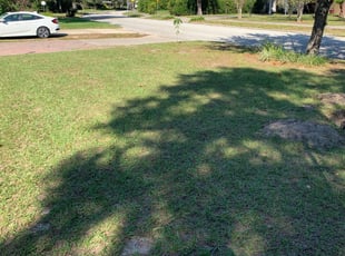 1 Piedmont Sc Lawn Care Service Lawn Mowing From 19 Best 2020