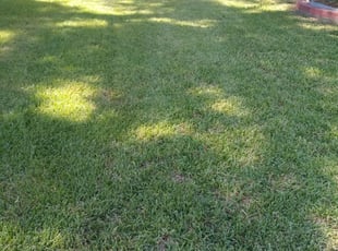Pikesville Md Lawn Care Service Lawn Mowing From 19 Rated Best 2020