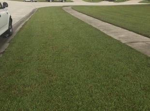 Pittsburgh Pa Lawn Care Lawn Mowing From 19 Lawnstarter