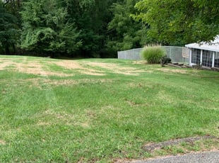 Pittsburgh Pa Lawn Care Lawn Mowing From 19 Lawnstarter