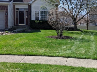 Plainfield, IL Lawn Care Service | Lawn Mowing from $19 ...
