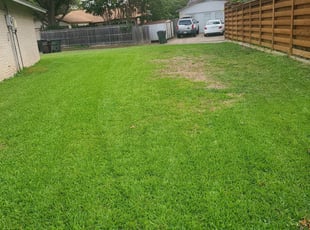 Plano Tx Lawn Care Service Lawn Mowing From 18 Best Of 2020