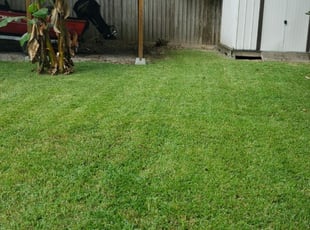 1 Plant City Fl Lawn Care Service Lawn Mowing From 19 Best 2020