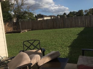 1 Plant City Fl Lawn Care Service Lawn Mowing From 19 Best 2020