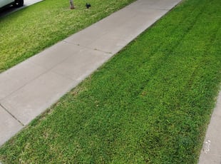 Plaquemine La Lawn Care Lawn Mowing From 19 Lawnstarter
