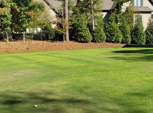Pleasant View Tn Lawn Care Service Lawn Mowing From 19 Lawnstarter