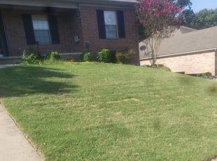 Plymouth Mi Lawn Care Service Lawn Mowing From 19 Rated Best 2020