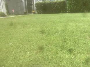 Ponte Vedra Beach Fl Lawn Care Service Lawn Mowing From 19 Lawnstarter