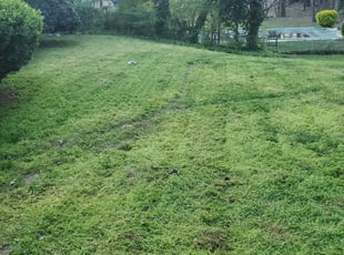 1 Pontiac Mi Lawn Care Service Lawn Mowing From 19 Best 2020