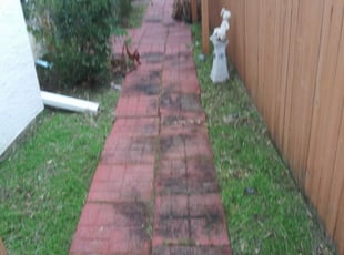 Port Orange Fl Lawn Care Service Lawn Mowing From 19 Rated Best 2020