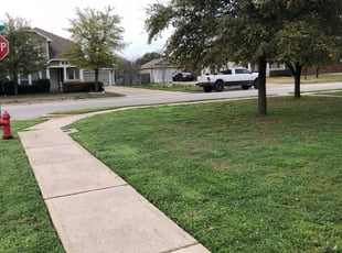 1 Port Richey Fl Lawn Care Service Lawn Mowing From 19 Best 2020