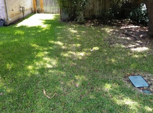 Port St Lucie Fl Lawn Care Service Lawn Mowing From 19 Lawnstarter
