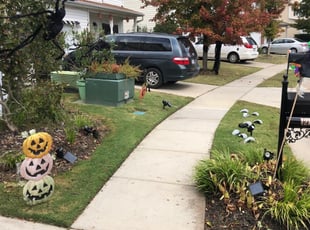 Port St Lucie Fl Lawn Care Service Lawn Mowing From 19 Lawnstarter
