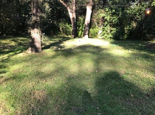 Port St. Lucie, FL Lawn Care Service | Lawn Mowing from ...