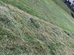 Portland Tn Lawn Care Service Lawn Mowing From 19 Rated Best 2020