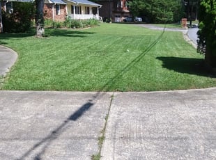 Portland Tn Lawn Care Service Lawn Mowing From 19 Rated Best 2020