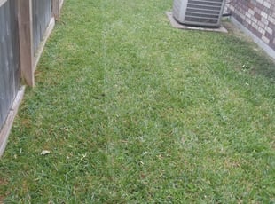 1 Portland Tx Lawn Care Service Lawn Mowing From 19 Best 2020
