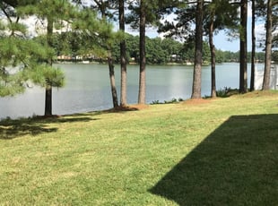 1 Portsmouth Va Lawn Care Service Lawn Mowing From 19 Best 2020