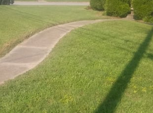 1 Portsmouth Va Lawn Care Service Lawn Mowing From 19 Best 2020