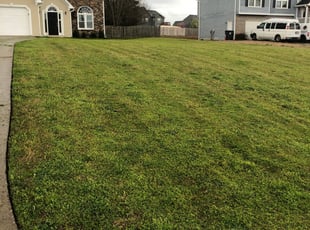 1 Powder Springs Ga Lawn Care Service Lawn Mowing From 19 Best 2020