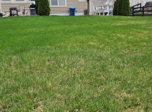 Powell Oh Lawn Care Service Lawn Mowing From 19 Lawnstarter