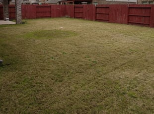 1 Powhatan Va Lawn Care Service Lawn Mowing From 19 Best 2020