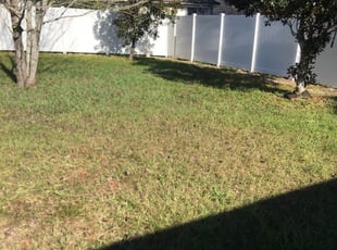 Provo Ut Lawn Care Service Lawn Mowing From 19 Rated Best 2020