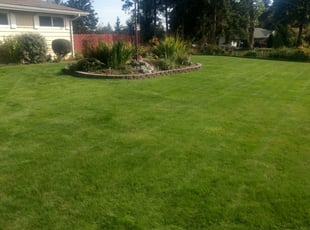 Puyallup Wa Lawn Care Service Lawn Mowing From 19 Rated Best 2020