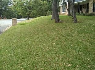 Puyallup Wa Lawn Care Service Lawn Mowing From 19 Rated Best 2020