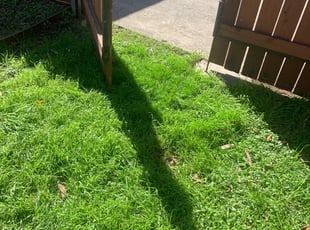 Ddwalsflmudpdm