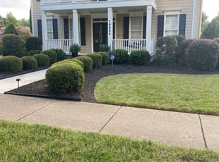 1 Raleigh Nc Lawn Care Service Lawn Mowing From 19 Best 2020