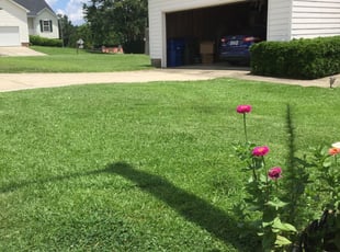 1 Raleigh Nc Lawn Care Service Lawn Mowing From 19 Best 2020