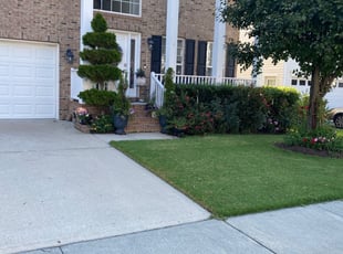 1 Raleigh Nc Lawn Care Service Lawn Mowing From 19 Best 2020