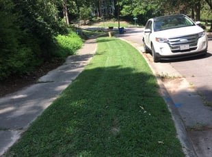 1 Raleigh Nc Lawn Care Service Lawn Mowing From 19 Best 2020