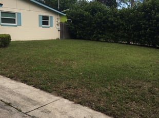 1 Chattanooga Tn Lawn Care Service Lawn Mowing From 19 Best 2020