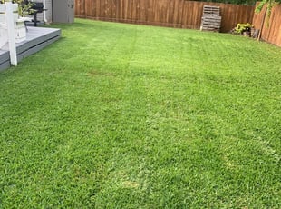 Red Oak Tx Lawn Care Service Lawn Mowing From 19 Rated Best 2020