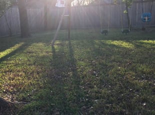 Red Oak Tx Lawn Care Service Lawn Mowing From 19 Rated Best 2020