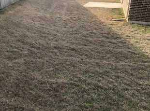 Reynoldsburg Oh Lawn Care Service Lawn Mowing From 19 Lawnstarter