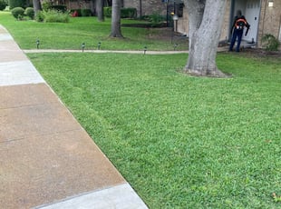 Richardson Tx Lawn Care Lawn Mowing From 19 Lawnstarter
