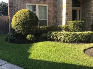 1 Richmond Tx Lawn Care Service Lawn Mowing From 19 Best 2020