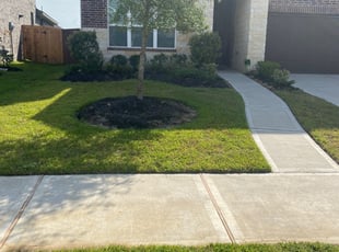 1 Richmond Tx Lawn Care Service Lawn Mowing From 19 Best 2020