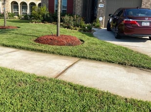 1 Richmond Tx Lawn Care Service Lawn Mowing From 19 Best 2020