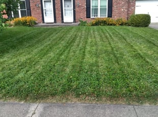 1 Ringgold Ga Lawn Care Service Lawn Mowing From 19 Best 2020